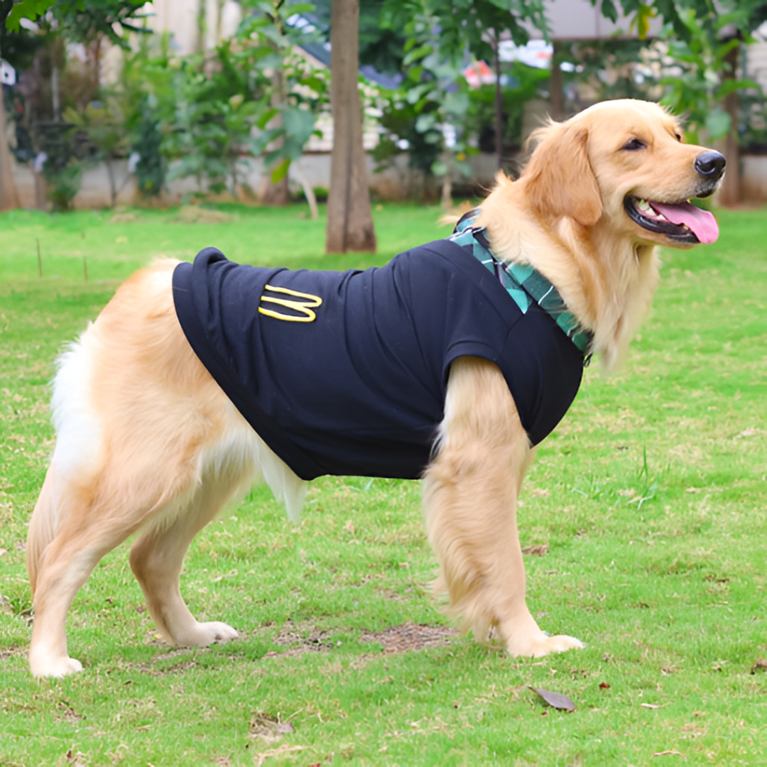 Dressing Pets for Comfort and Style